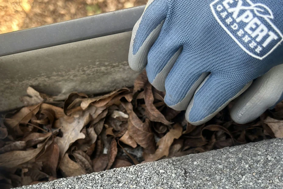 Gutter Cleaning St. Paul VA